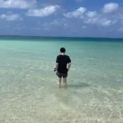 ウーロン茶の画像