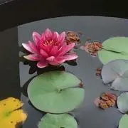 ＆Ｕ
