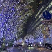 tashigeの画像