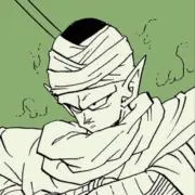 piccotaloの画像