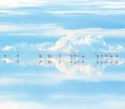 ポチ公の画像