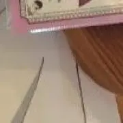 ナツの画像