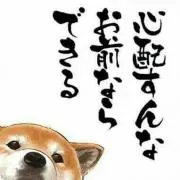 ( ￣▽￣)