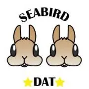 SEABIRDの画像