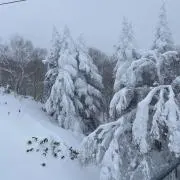 はる