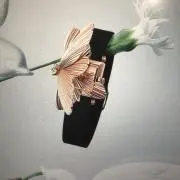 ららんちゅや♪ダメ元歓迎♪の画像