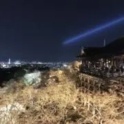 キタの画像
