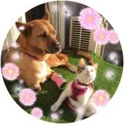 ちーちゃん