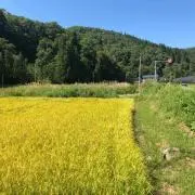 アクアマニアの画像