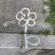Ohanaの画像