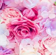 いっぷくショップ♡お値下げします♡