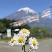(*☻mama☻*)
