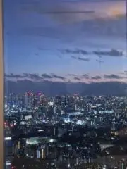 なつの画像
