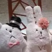 みんみん※発送予定日に土日祝は含みませんの画像