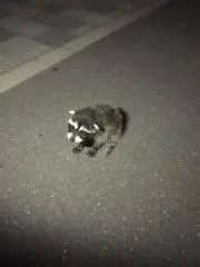 しょん