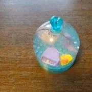 えいちゃんの画像
