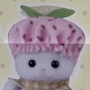 こじまの画像