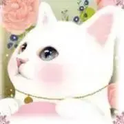 伊万里☆プロフ必読の画像