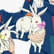うさぎの画像