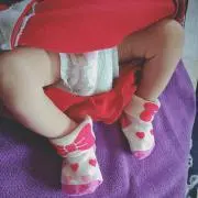 しぃたんの画像