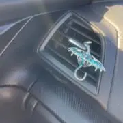 あーにゃの画像