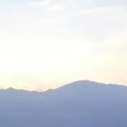山田の画像