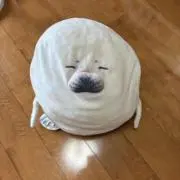 Image of ちーちゃん