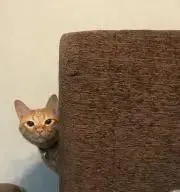 mの画像