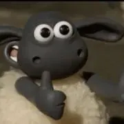 まの画像