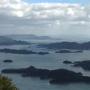 たーさんの画像