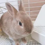 ☆sara☆