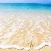myの画像