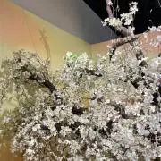 かなこの画像