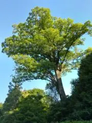 【☆m☆購入前プロフ必読必須】の画像