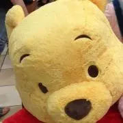 ゆんの画像