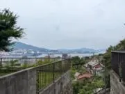 ししゃもの画像