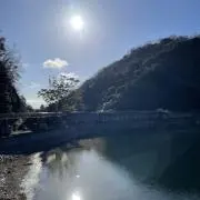 夏の画像
