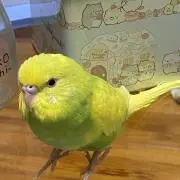 なみちゃん0525