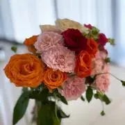 ヨッシー