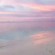 ROMIの画像