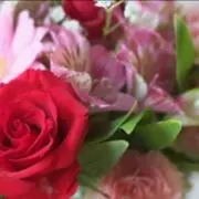 ☆rin7☆の画像