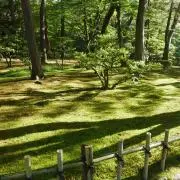 123の画像