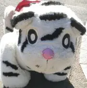 やまだぁーの画像