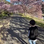 かいりんとんの画像