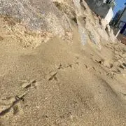 みやの画像