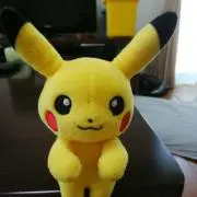 こうこの画像