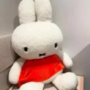 りんご　普通郵便は土日のみ発送可の画像