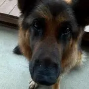 ベル