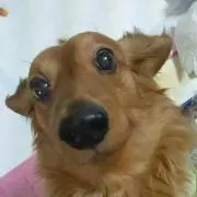 とっち