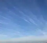 ＊hana＊の画像